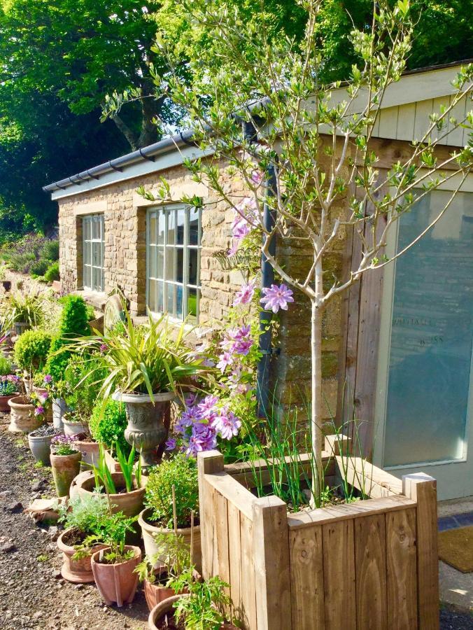 Lavender Cottage Gloucester Exterior photo